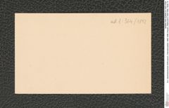 k.k. naturhistorisches Hofmuseum, Intendanzakten 1885-1896 (Hauer), Aktenzahl Z.364/1892, Seite 10